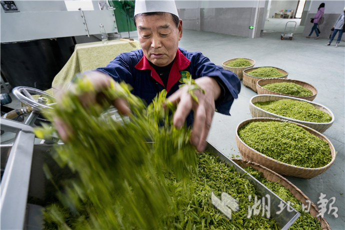 1598517717643.jpg 4.jpg