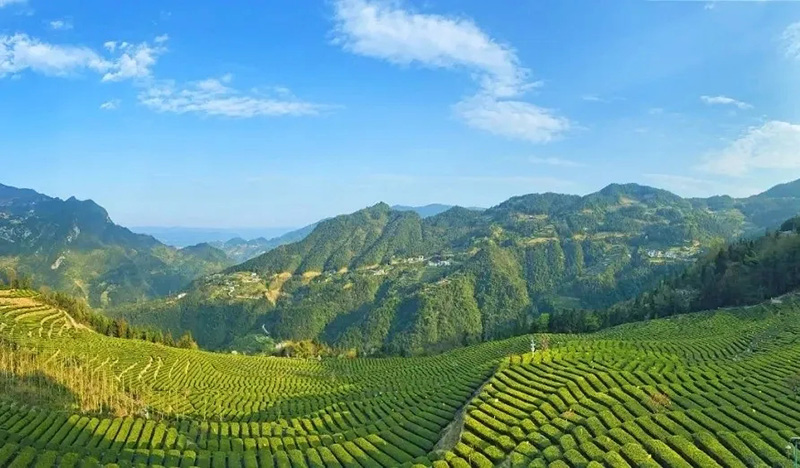 1670817009696.jpg 微信图片_20221212113522.jpg