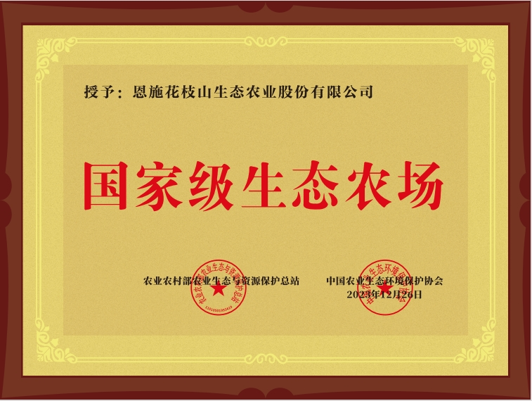 1761536897207.png 图片8.png